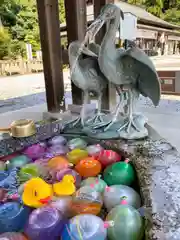 白鷺神社の手水