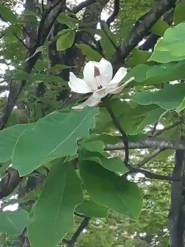 伏木香取神社の自然