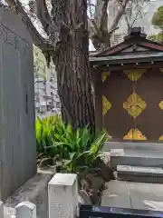 鳥越神社の自然