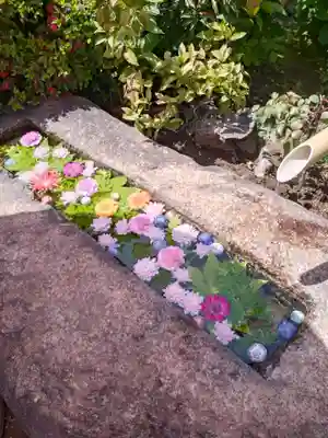 一乗寺(東京都)