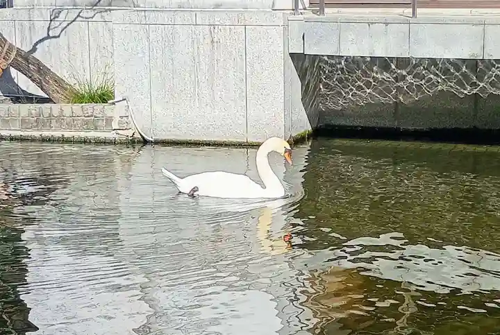 頂法寺(六角堂)(京都府)