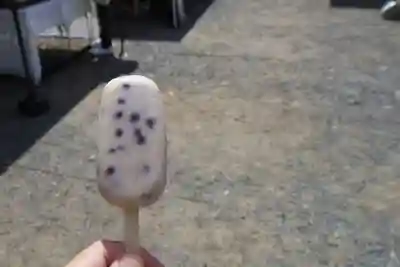 賀茂別雷神社（上賀茂神社）(京都府)