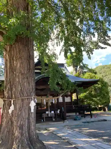 賀羅加波神社(広島県)