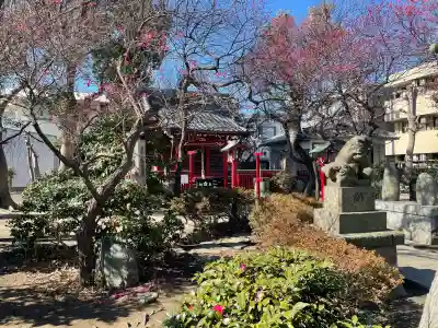 北野天神（仲六郷北野神社）の{uncategorized: "未分類", other: "その他", undefined: "問題あり", building: "その他建物", grave: "お墓", sacred_gate: "鳥居", guardian: "狛犬", statue: "像", buddha: "仏像", history: "歴史", nature: "自然", garden: "庭園", animal: "動物", pagoda: "塔", temizu: "手水舎", mountain_gate: "山門・神門", sanctuary: "本殿・本堂", subordinate: "末社・摂社", art: "芸術", scenery: "景色", jizo: "地蔵", ema: "絵馬", goshuin: "御朱印", omikuji: "おみくじ", items: "授与品その他", amulet: "お守り", goshuincho: "御朱印帳", eats: "食事", festival: "お祭り", votive_dance: "神楽", shichigosan: "七五三参", wedding: "結婚式", experience: "体験その他", initially: "初詣", around: "周辺", anti_infection: "感染症対策"}