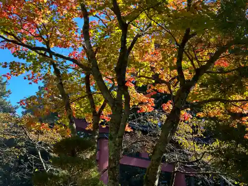 北口本宮冨士浅間神社(山梨県)