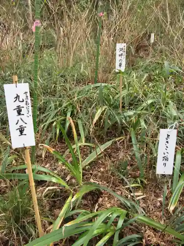 高幡不動尊　金剛寺の自然