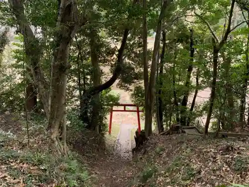 日枝・津嶋神社の鳥居