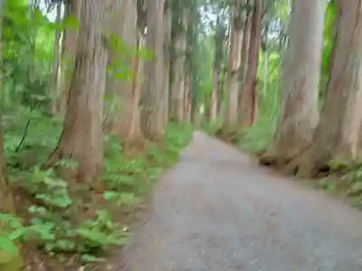戸隠神社奥社(長野県)