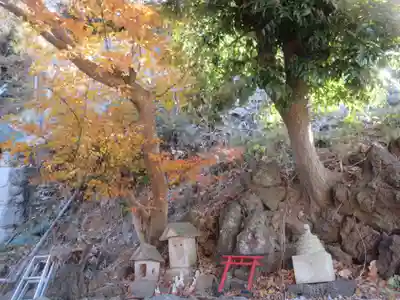 西森稲荷大明神の自然