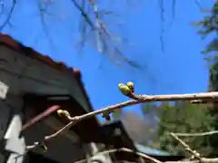 滑川神社 - 仕事と子どもの守り神(福島県)