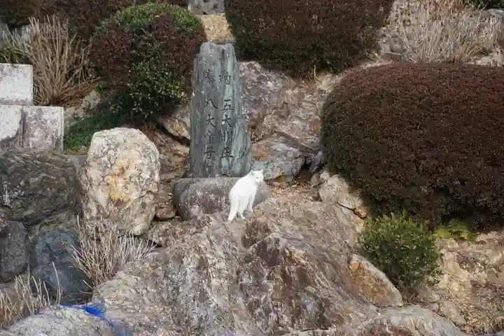 成田山名古屋別院大聖寺(犬山成田山)の動物