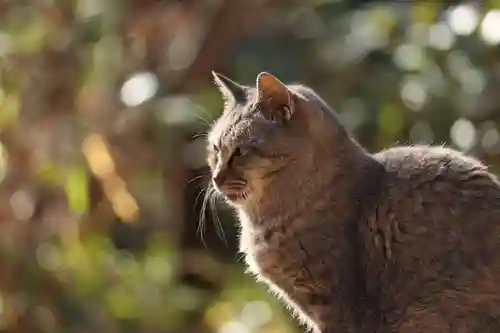 玉野御嶽神社(愛知県)