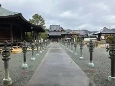酒見寺の本殿・本堂