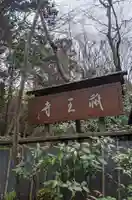 祇王寺(京都府)