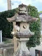 吾平津神社の動物