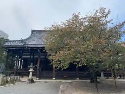 本法寺の本殿・本堂