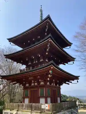岡寺(龍蓋寺)(奈良県)