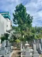 大聖院(神奈川県)