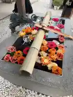 蛇窪神社の{uncategorized: "未分類", other: "その他", undefined: "問題あり", building: "その他建物", grave: "お墓", sacred_gate: "鳥居", guardian: "狛犬", statue: "像", buddha: "仏像", history: "歴史", nature: "自然", garden: "庭園", animal: "動物", pagoda: "塔", temizu: "手水舎", mountain_gate: "山門・神門", sanctuary: "本殿・本堂", subordinate: "末社・摂社", art: "芸術", scenery: "景色", jizo: "地蔵", ema: "絵馬", goshuin: "御朱印", omikuji: "おみくじ", items: "授与品その他", amulet: "お守り", goshuincho: "御朱印帳", eats: "食事", festival: "お祭り", votive_dance: "神楽", shichigosan: "七五三参", wedding: "結婚式", experience: "体験その他", initially: "初詣", around: "周辺", anti_infection: "感染症対策"}