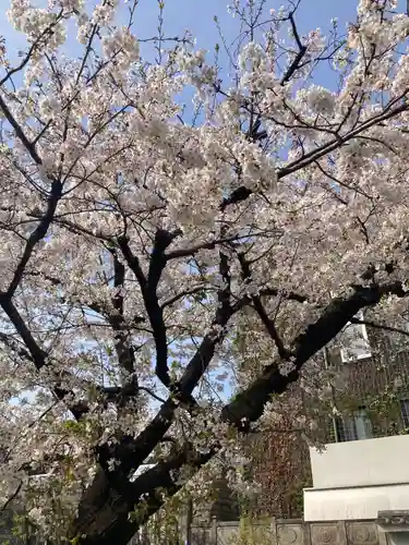 成田山深川不動堂（新勝寺東京別院）(東京都)