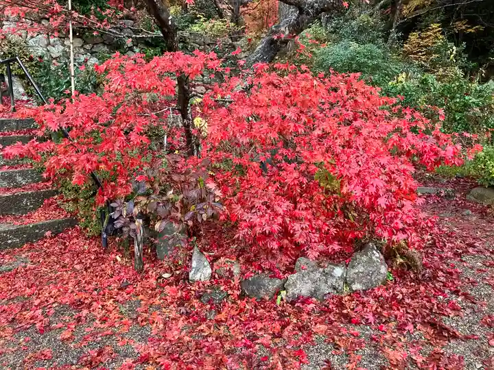 大国寺(兵庫県)