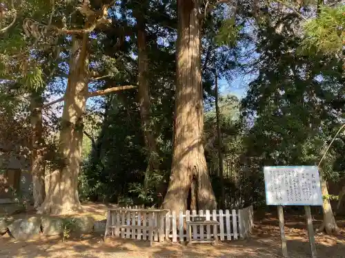 鎌数伊勢大神宮(千葉県)