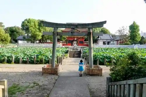 伊賀八幡宮の鳥居