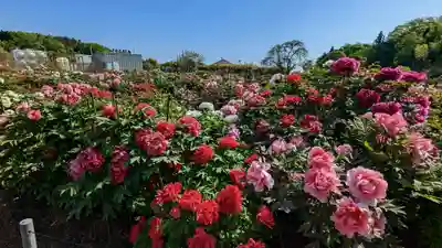 金蛇水神社(宮城県)