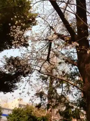 池尻稲荷神社(東京都)