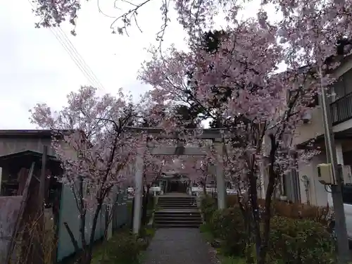 大和神社(新潟県)