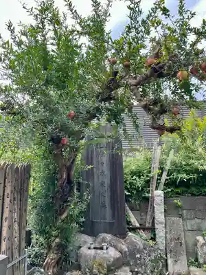 大雄寺(東京都)