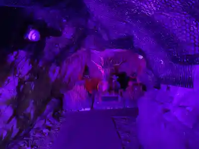 江の島岩屋(神奈川県)