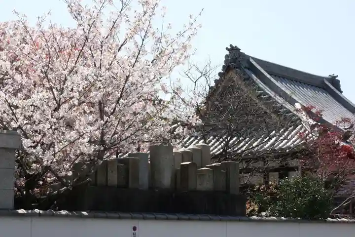 日蓮宗 安楽寺のその他建物