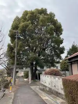 天満天神社の鳥居