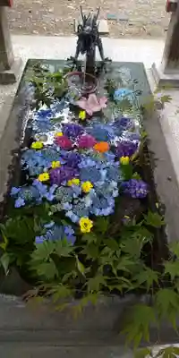 札幌護國神社の手水舎