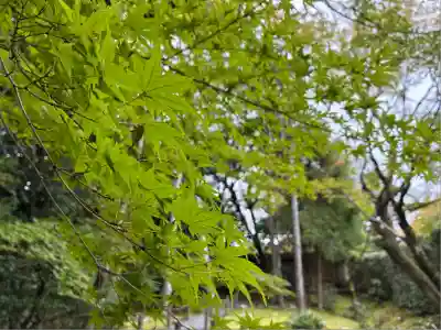 桂春院(京都府)