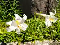 東岩寺(宮城県)