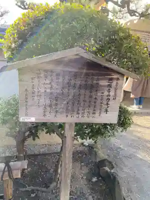 慈眼寺(奈良県)