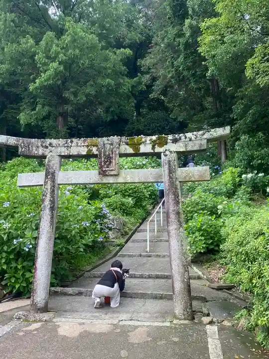 吉備津神社(岡山県)