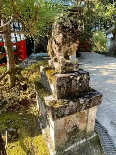 八大神社の狛犬