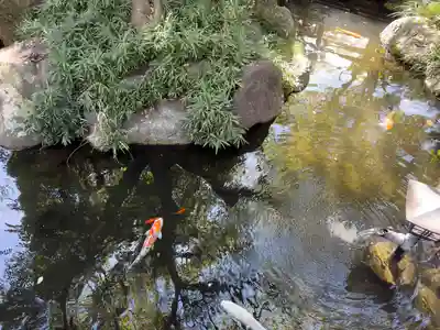 千葉神社(千葉県)