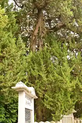 廣峯神社(兵庫県)