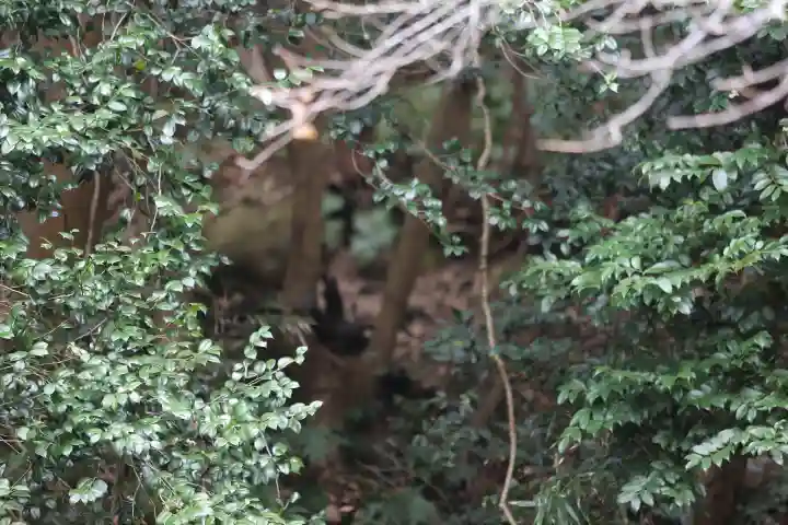 日本寺(千葉県)