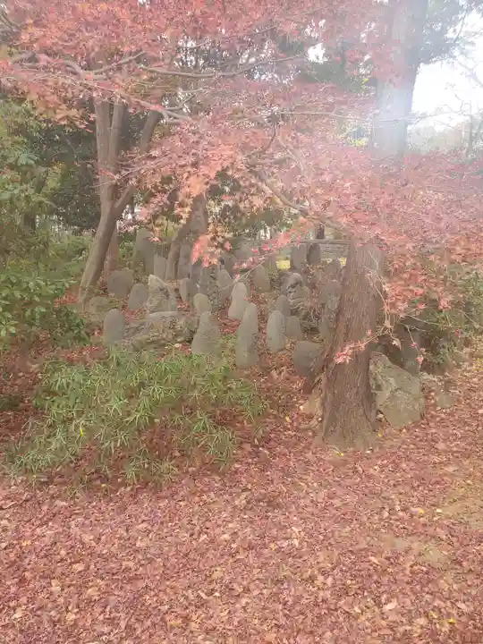 長林寺(山川長林寺)の自然