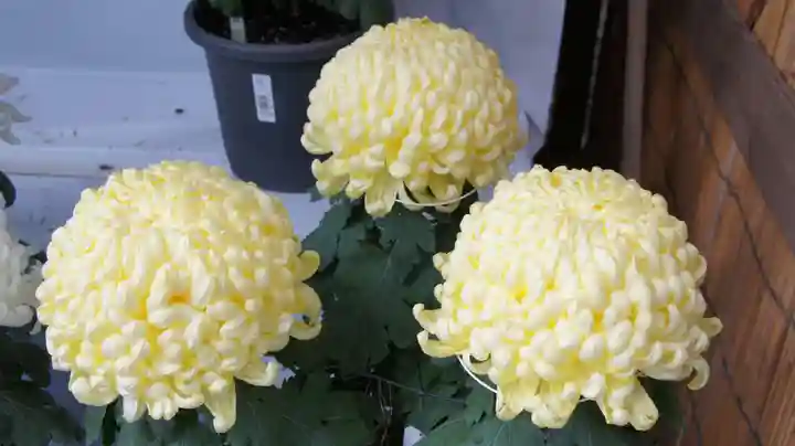 鹿島神宮(茨城県)