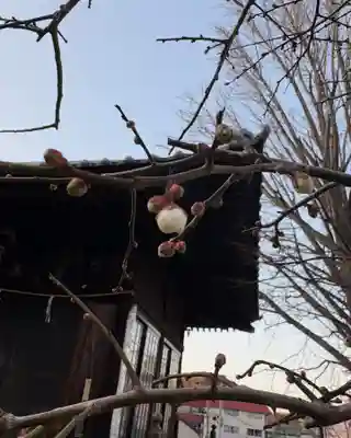 温泉神社〜いわき湯本温泉〜(福島県)