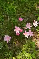 岡森神社(愛媛県)