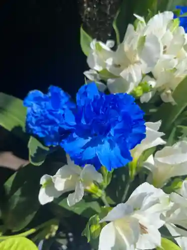 上尾御嶽神社の手水舎