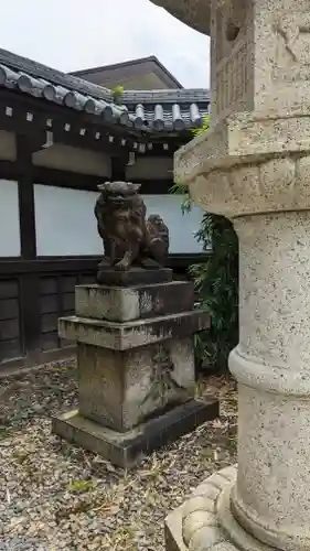 京都乃木神社の狛犬