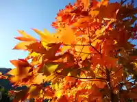 大雪山層雲峡神社(北海道)